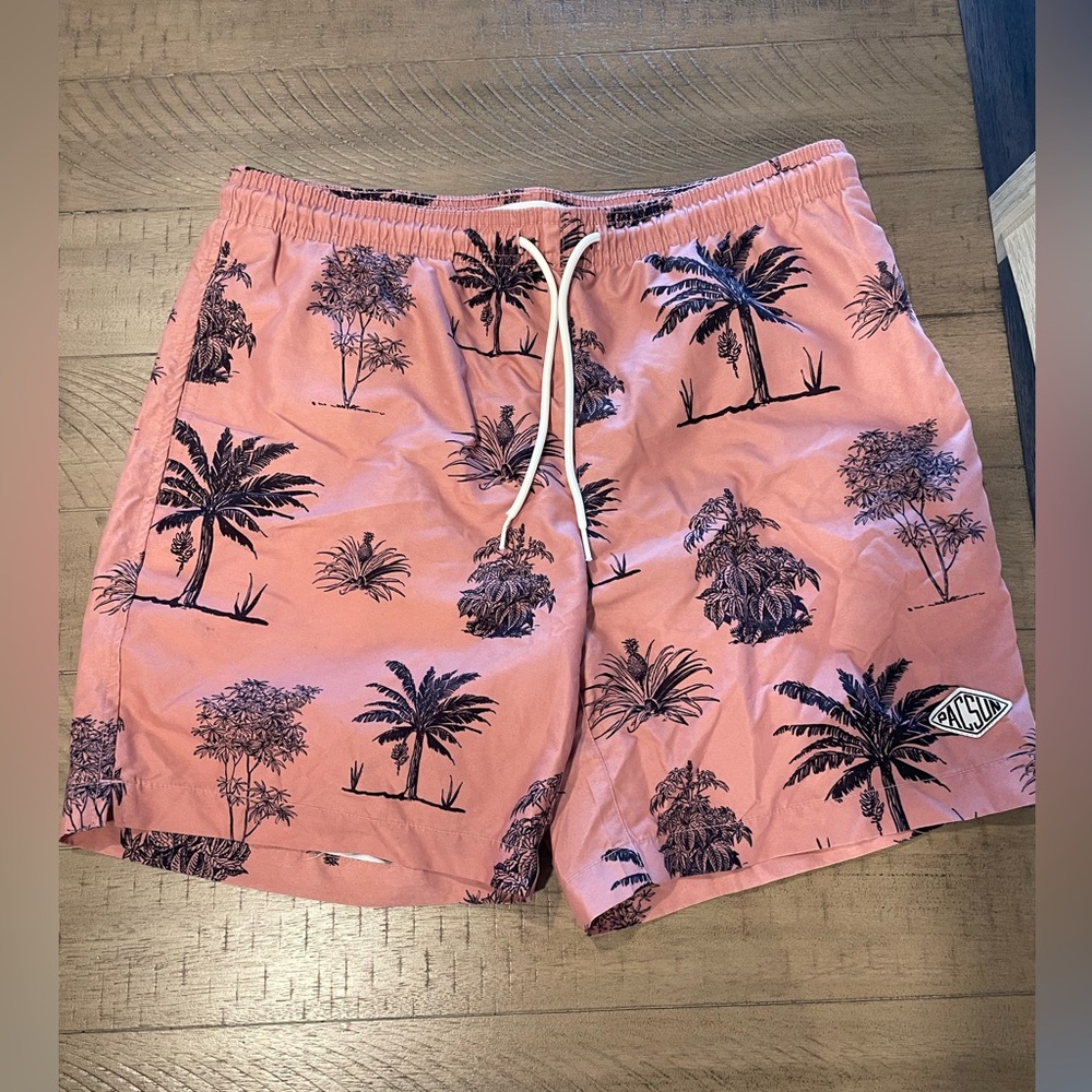 PacSun Men’s Swim Shorts